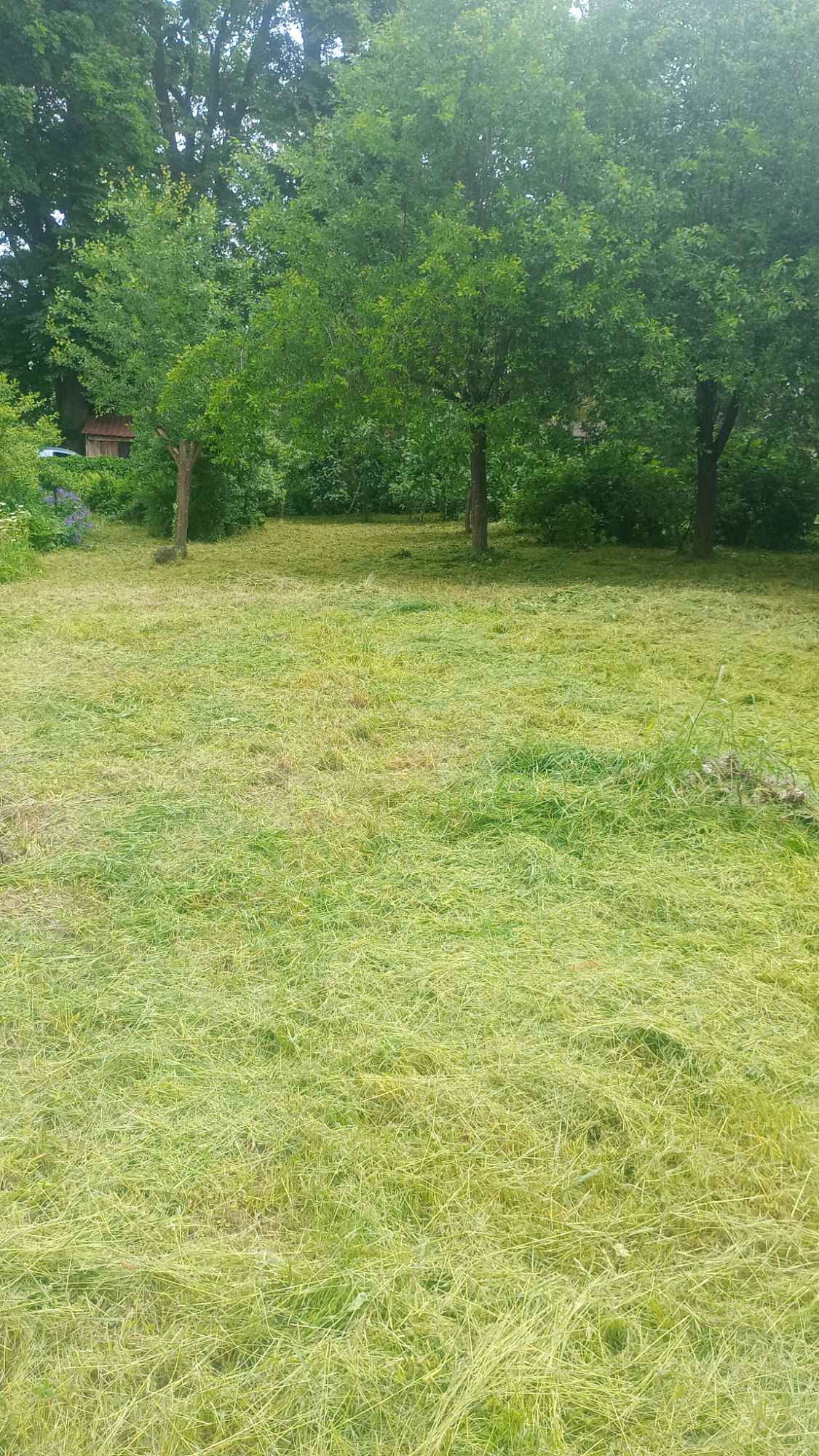 Działka 800m2 Darskowo - zdjęcie 3