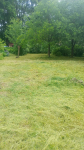 Działka 800m2 Darskowo - zdjęcie 3