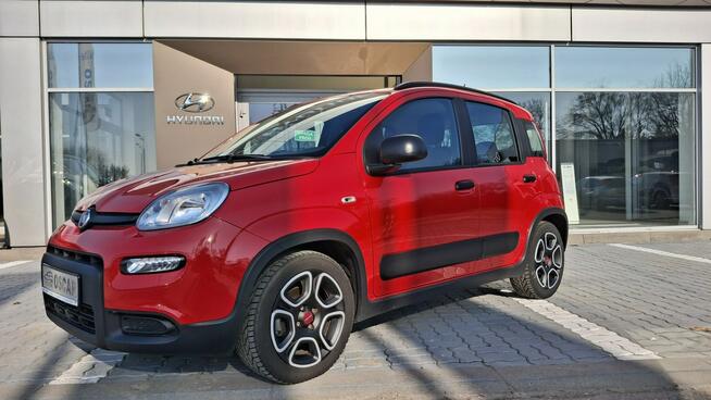 Fiat Panda Polska / serwis / jak nowa ! Ostrołęka - zdjęcie 2