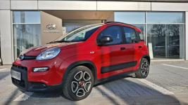 Fiat Panda Polska / serwis / jak nowa ! Ostrołęka - zdjęcie 2