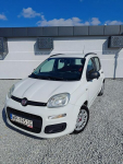 Fiat Panda 1.2 1Wł Salon PL Miękinia - zdjęcie 2