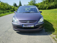 Peugeot 307 1,6 16V Rząśnik - zdjęcie 3