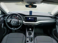 Škoda Octavia 1.5 TSI ACT Ambition serwisowany Tychy - zdjęcie 10