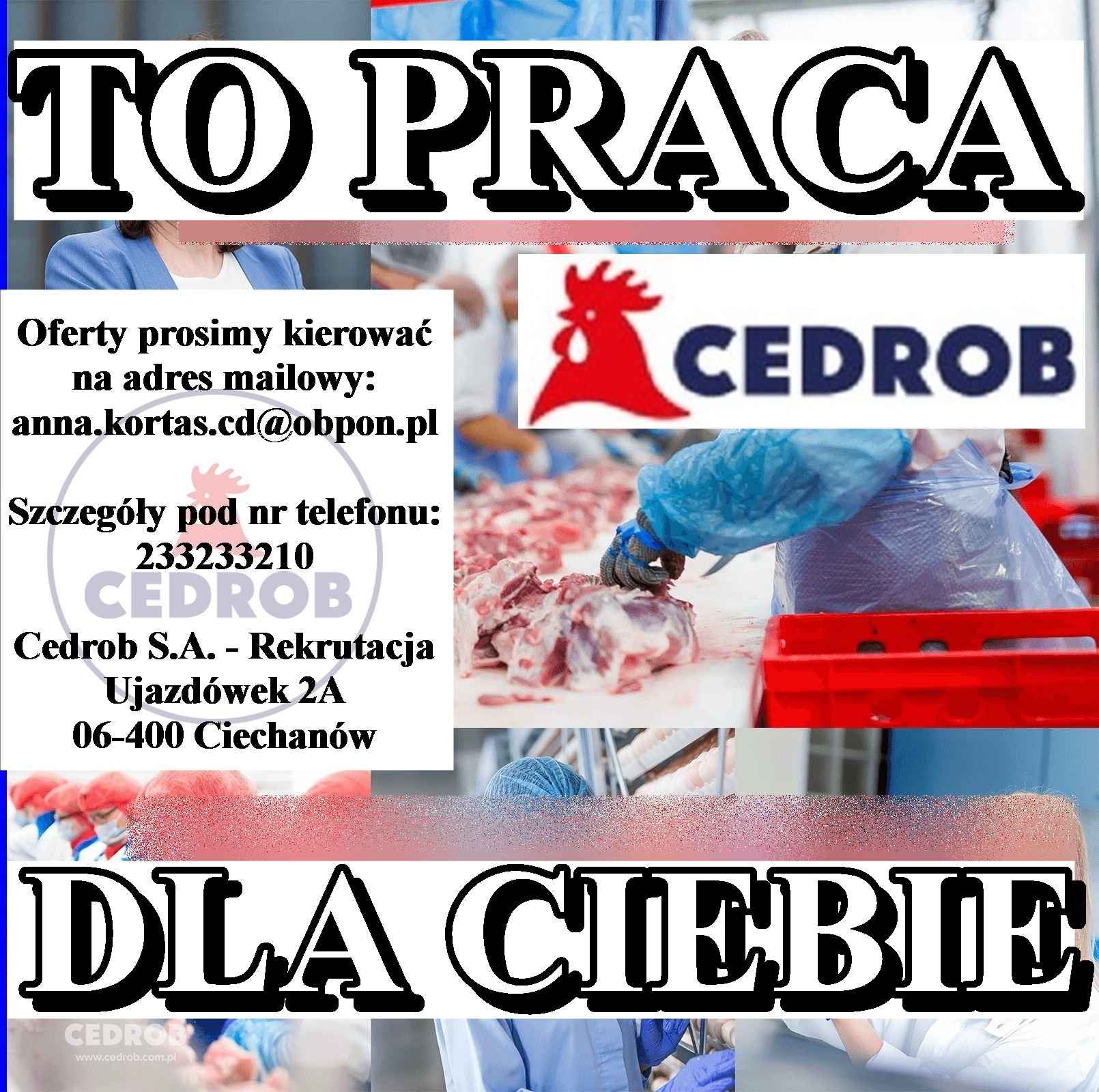 Pracownik produkcji - dział patroszenia (K/M) Kutno Kutno - zdjęcie 1