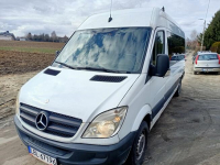 Mercedes Sprinter 9os. brygadówka klima webasto hak Zamość - zdjęcie 3