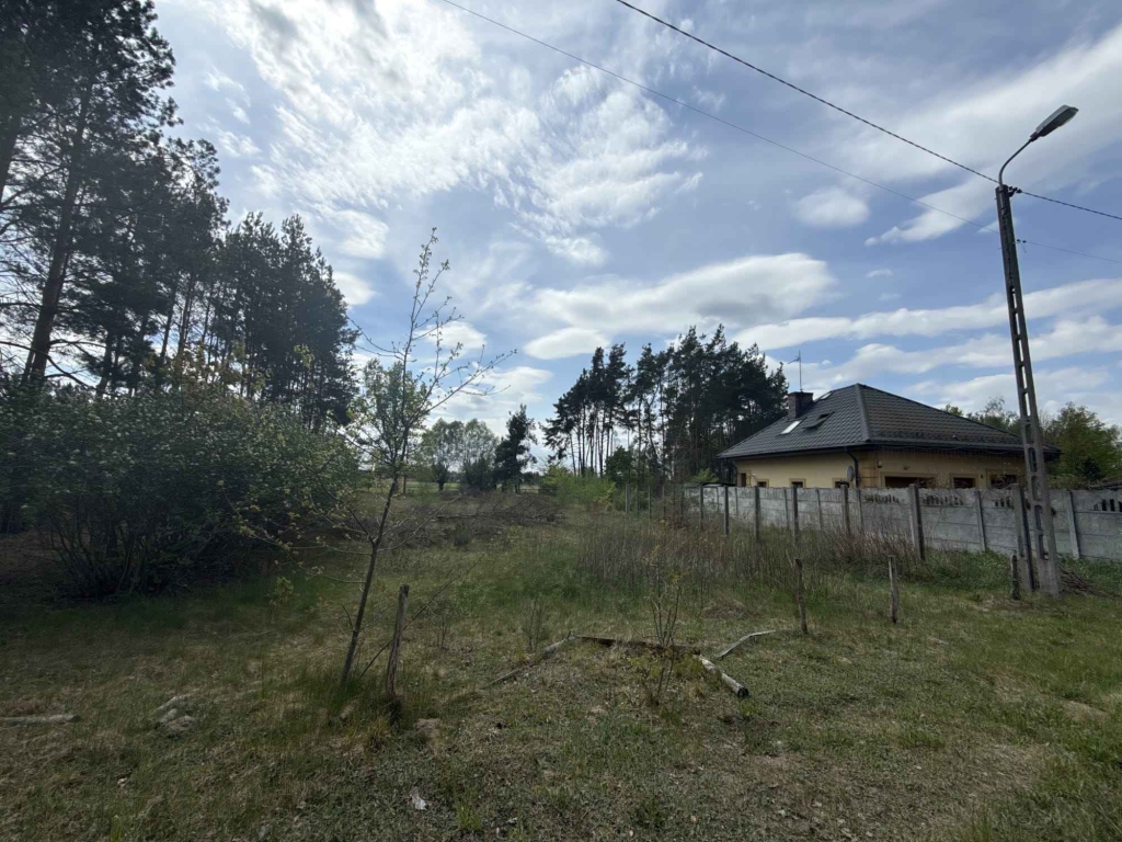 Siedlisko nad rzeką 50 km od Warszawy Tłuszcz - zdjęcie 4