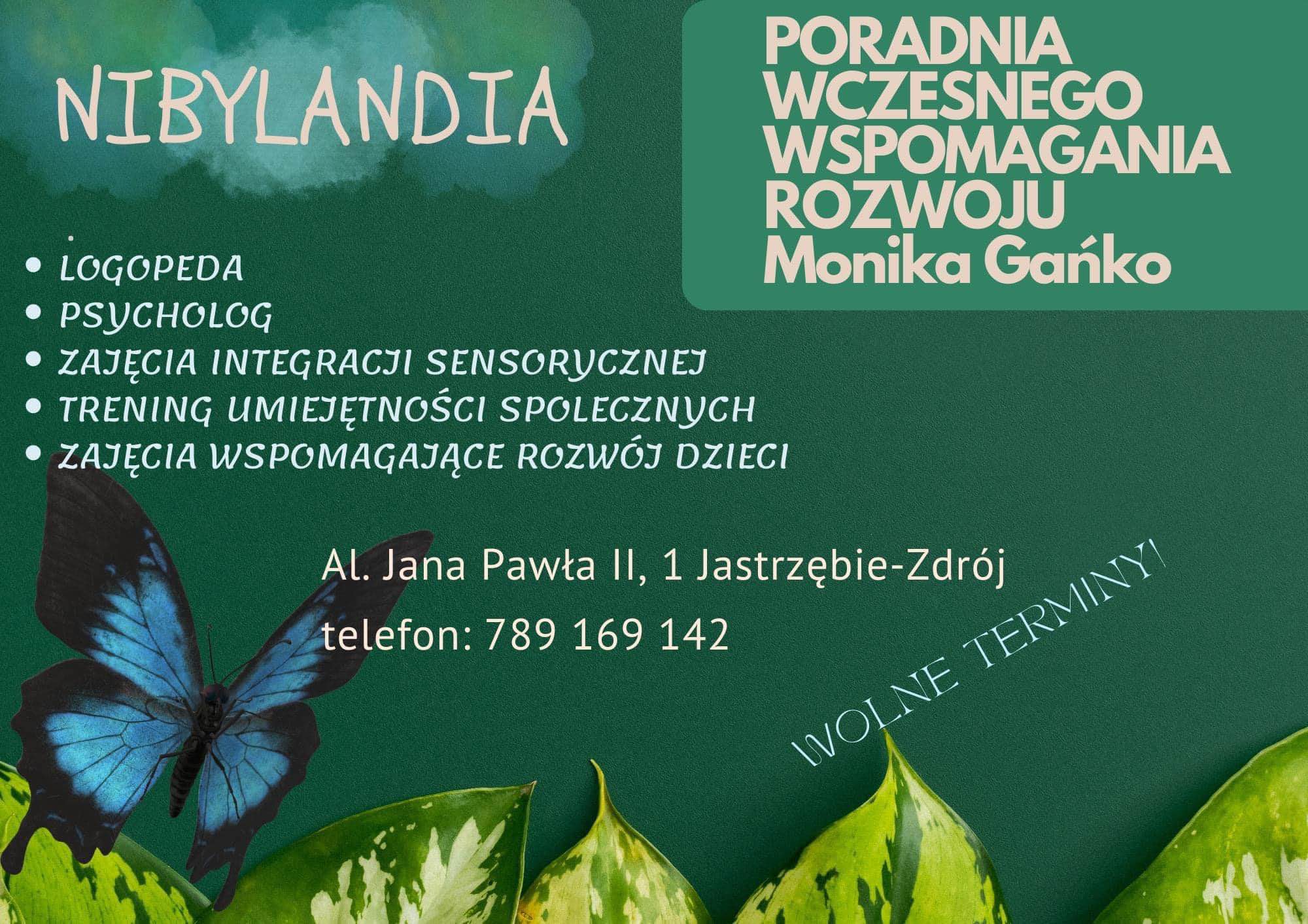 Poradnia Wczesnego Wspomagania Rozwoju Nibylandia Jastrzębie-Zdrój - zdjęcie 1