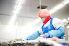 Pracownik Produkcji - Dział Przyjęcia Żywca, Pakowania i Paletyzacji