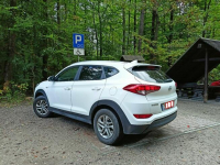 Hyundai Tucson Koszalin - zdjęcie 7