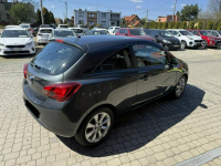 Opel Corsa 1,4 90KM  Klimatyzacja  Tablet  CarPlay Orzech - zdjęcie 6