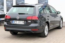 Volkswagen Golf Salon PL 1.0TSI 115KM LED Pakiet Business Bluetooth Sokołów - zdjęcie 6