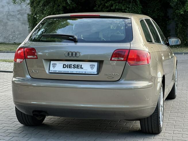 Audi A3 8P 2005r 2.0 TDI BKD 140KM Automat DSG Klimatronic Xenon Wijewo - zdjęcie 4
