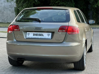 Audi A3 8P 2005r 2.0 TDI BKD 140KM Automat DSG Klimatronic Xenon Wijewo - zdjęcie 4
