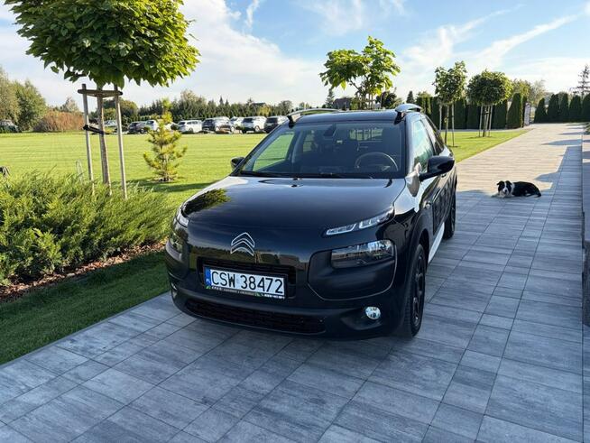 Citroen C4 Cactus Filmik • Kamera • Benzyna • gwarancja na 12 msc Dragacz - zdjęcie 12