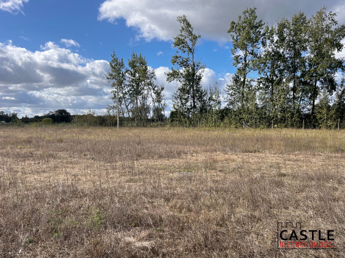 Działka budowlana blisko lasu, Trzciel/Jasieniec Trzciel - zdjęcie 5