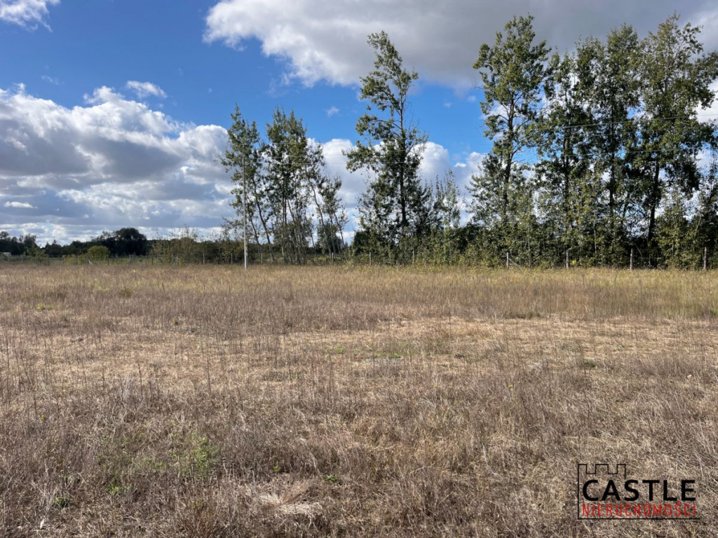 Działka budowlana blisko lasu, Trzciel/Jasieniec Trzciel - zdjęcie 5