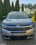 Citroën C5 Aircross BlueHDI 130 S&amp;S LIVE PACK Dąbrowa - zdjęcie 3