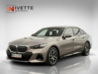 BMW 520D xDrive 2,0 20d 197 KM  Salon Polska F-Vat