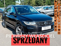 Volkswagen Tiguan Krajowy  panorama