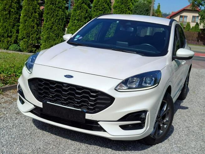 Ford Kuga Lubartów - zdjęcie 4