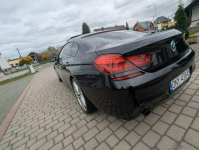 BMW 630 640d M Sport Edition/doinwestowany/zarejestrowany w Polsce Biała - zdjęcie 11
