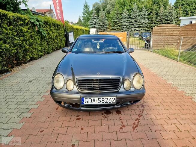 Mercedes-Benz CLK 2.3 Kompressor LPG Gaz! Bydgoszcz - zdjęcie 6