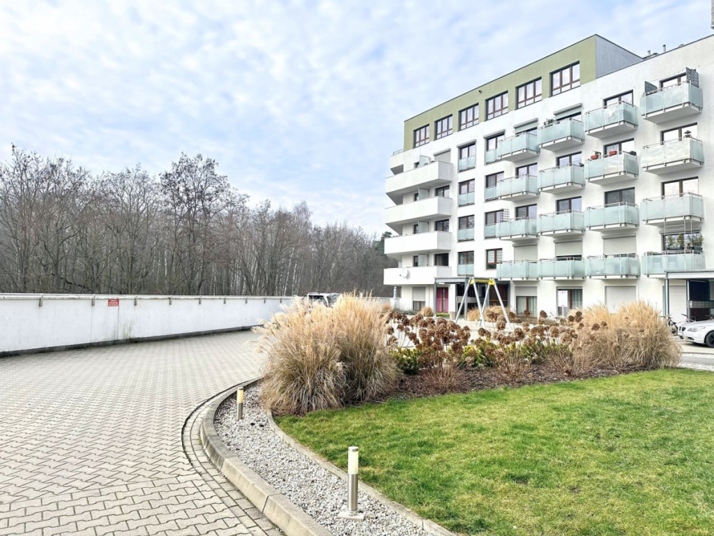 Atrakcyjne mieszkanie blisko terenów zielonych Poznań - zdjęcie 12