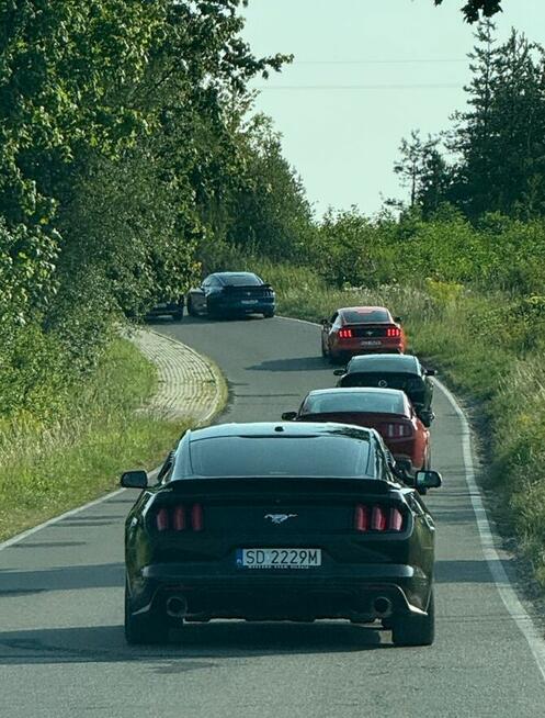 Mustang turbo, performance pack + premium pack + modyfikacje Chruszczobród - zdjęcie 4
