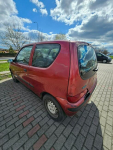 Fiat Seicento Benzyna 1.1 - 2001 r Głogów - zdjęcie 3