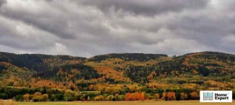 Działka (6000 m2) Polanica-Zdrój Polanica-Zdrój - zdjęcie 6