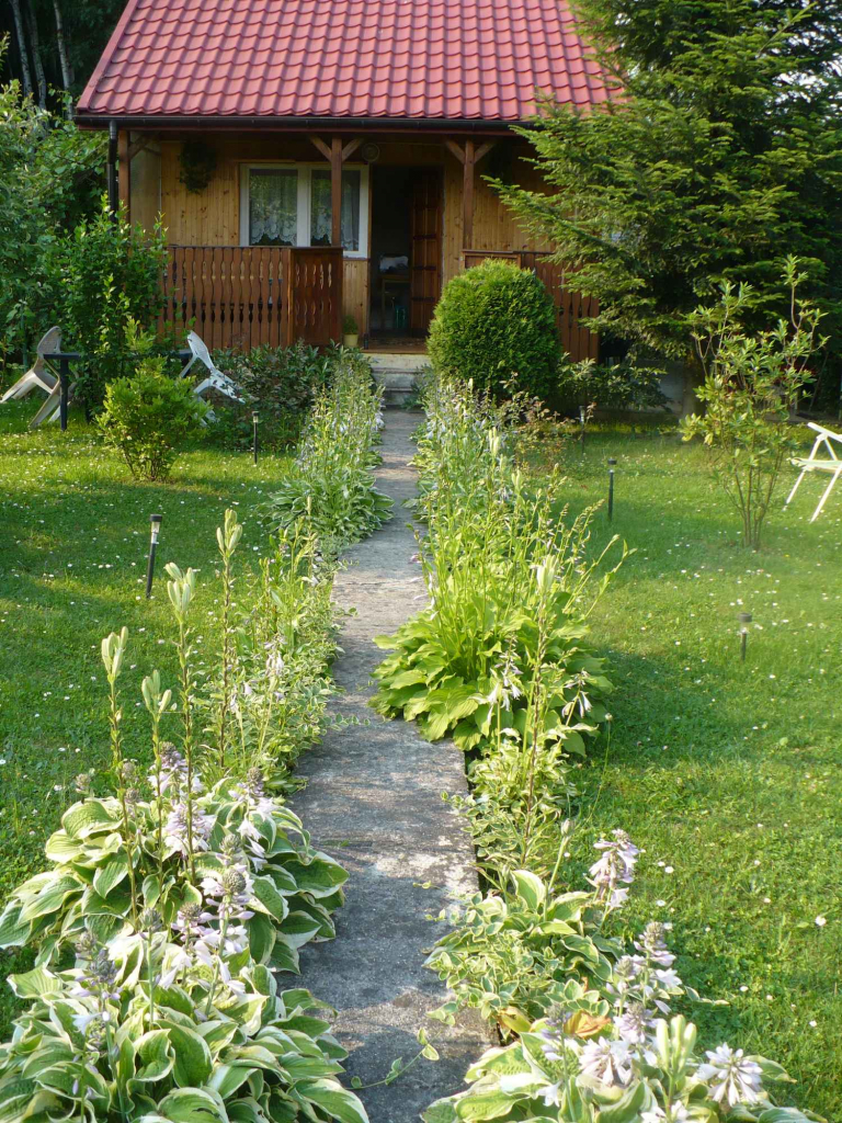 spraedam Krowodrza - zdjęcie 1