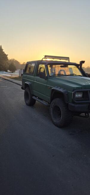 Sprzedam Perzyny - zdjęcie 3