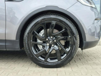 Land Rover Discovery MY25 3.0D I6 249 KM AWD Auto S / DEMO Łódź - zdjęcie 9