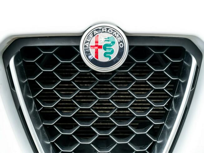 Alfa Romeo Poznań - zdjęcie 12