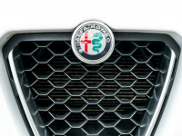 Alfa Romeo Poznań - zdjęcie 12