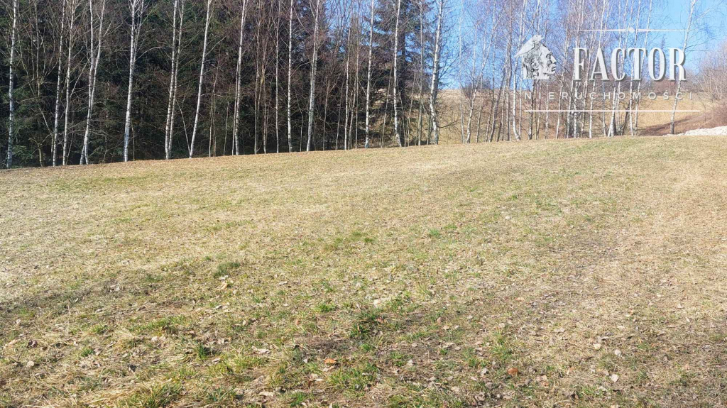 Widokowa działka budowlana 12,79 ara – Bieśnik, gm. Łużna 1191S/2026 Bieśnik - zdjęcie 6