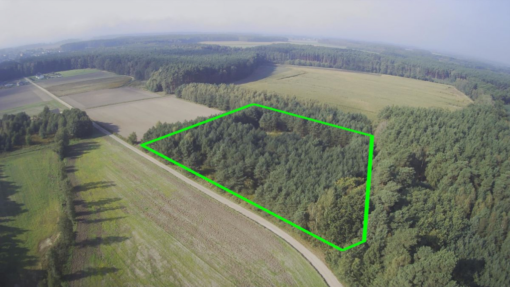 Okazja - Działka z prywatnym lasem | Wydane WZ Nowa Róża - zdjęcie 3