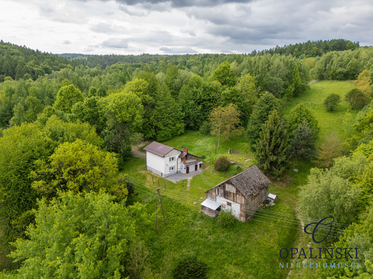 Dom na wzgórzu do własnej aranżacji | 1,57ha Łopuszka Wielka - zdjęcie 2