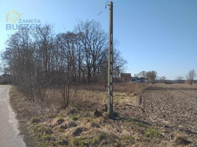 Działka pod obiekt produkcyjny Nieborów - zdjęcie 5