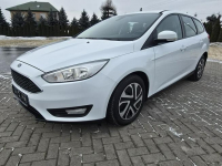 Ford Focus 1,5dci Navigacja.Tempomat.EL.szyby.kredyt.OKAZJA Kutno - zdjęcie 7