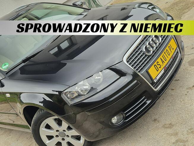 Audi A3 8P • 1.6 benz MPI • 5 drzwi • 2006 • jasne wnętrze • z Niemiec Nowe Miasto Lubawskie - zdjęcie 1