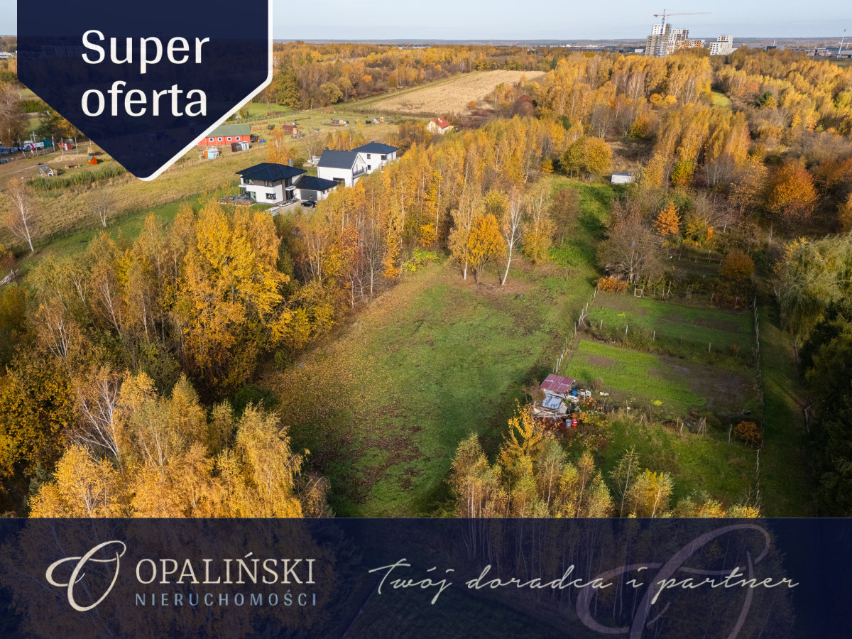 Kameralna okolica | Krakowska | WZ | Zieleń Rzeszów - zdjęcie 1