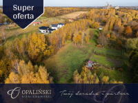 Kameralna okolica | Krakowska | WZ | Zieleń