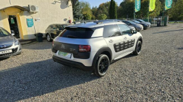 Citroen C4 Cactus Serwisowany, Navi, PDC Zieleniewo - zdjęcie 3