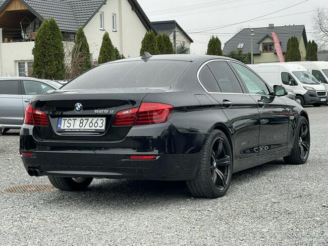 BMW 525 Lipsko - zdjęcie 9