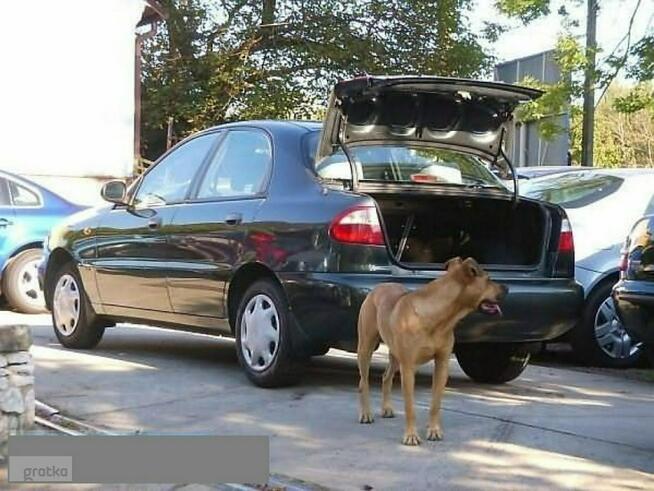 Daewoo Lanos BEZWYPADKOWY serwisowany 65tys.kmStan idealny Skawina - zdjęcie 3