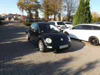 Volkswagen New Beetle Słupsk - zdjęcie 3