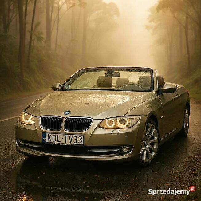 BMW 320d Cabrio E93 - Złoty bdb stan! M-Pakiet Mysłowice - zdjęcie 1