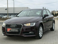 Audi A3 1.6 TDI /  105 KM Nawigacja Tempomat Czujniki Parkowania Mrągowo - zdjęcie 6