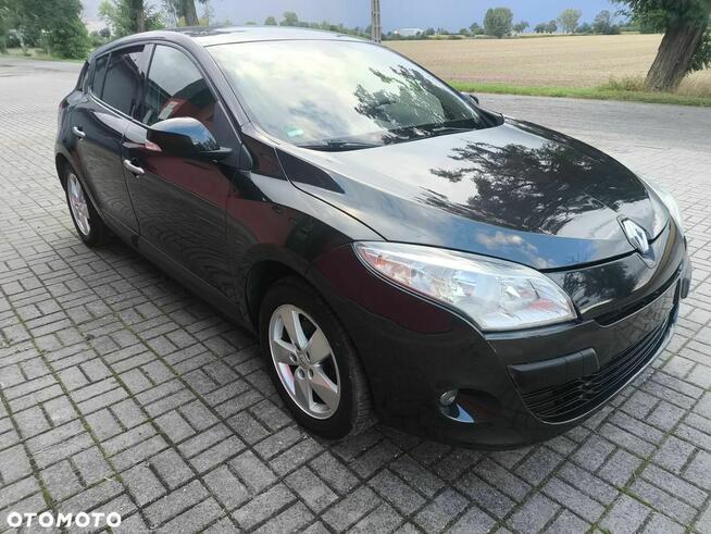 Renault Megane 1.6 16V 110 LIMITED Chełmce - zdjęcie 2